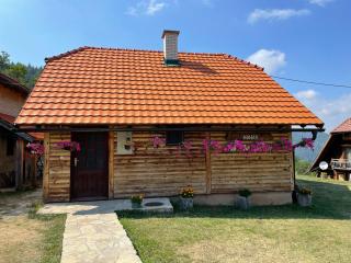 Konak Mandica avlija - Zaovine - 9