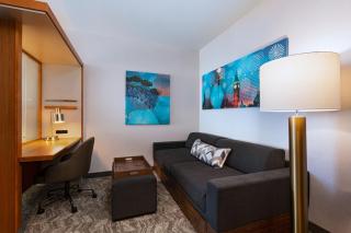 Springhill Suites by Marriott Anaheim Maingate - Anaheim - 3