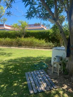 Tierra del Sur - 3