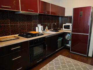 Alyas home in City Center - Chişinău - 4