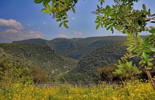 מצוקי גורן - Goren - 7