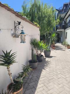 Casa Kalu - Costinesti - 1
