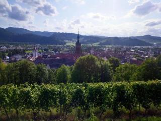 Ferienwohnung Sester - Gengenbach - 1