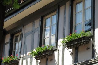 Ferienwohnung Sester - Gengenbach - 4