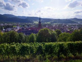 Ferienwohnung Sester - Gengenbach - 6