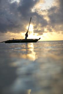 Diani Sea Lodge - All Inclusive - Praia de Diani - 7