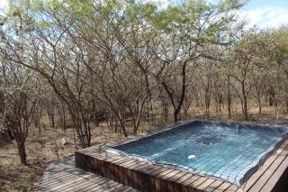 Mjejane Bush Camp by Dream Resorts - 3