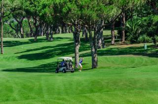 Sunshine - PINHEIROS ALTOS - Quinta do Lago - 1