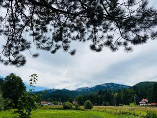 Swiss House Sarajevo - 4