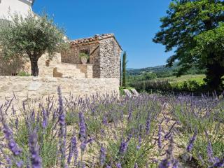 Mas Cerisiers - Saint-Martin-de-Castillon - 0