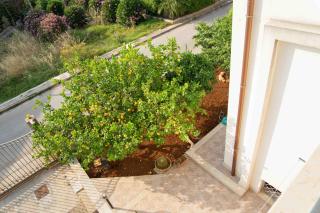 Il Tramonto B&B - Castelluzzo - 3