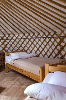 Khun Odod Resort, Khuvsgul province Mongolia - - 5