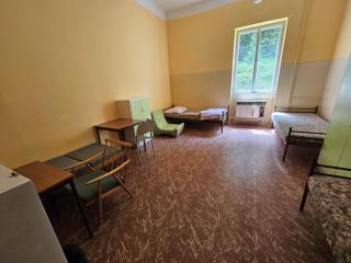 Dobrá Voda u Záblatí - lesní areál - - 6