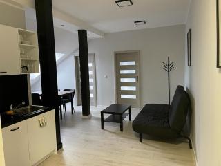 Apartamenty Delux-S1 przy trasie S1 - Łodygowice - 5