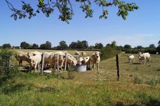Relax in this privately located farmhouse - 4
