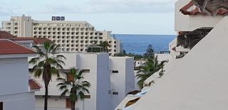 Las FLORITAS 23 Terrace and Swimming Pool - 9