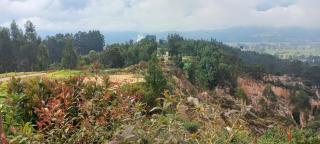 villa concha - Paipa - 1