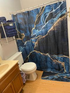 Vibrant 2 Bed Located Downtown Close to Soaring Eagle CMU - 6
