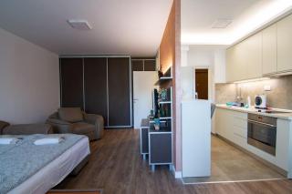 Sava centar-Arena, apartman EMA - 1