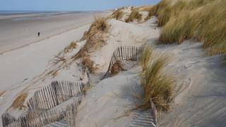 L'Escale - Fort-Mahon-Plage - 2