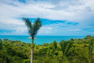 Villa Roca Boutique Resort & Suites - ADULT ONLY - Manuel Antonio - 5