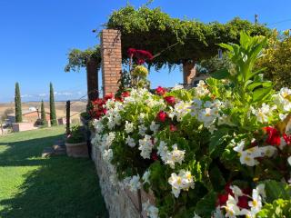 Poggiosalto in Toscana - Pienza - 5