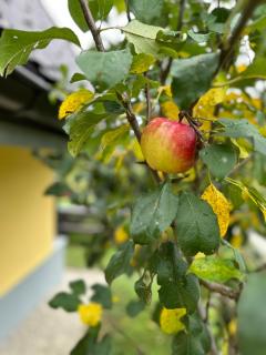 B&B Hills Bihać - 1