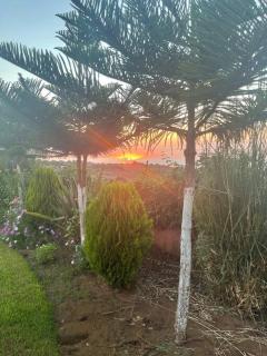 Lovely holiday Private villa with nature view +pool - 3