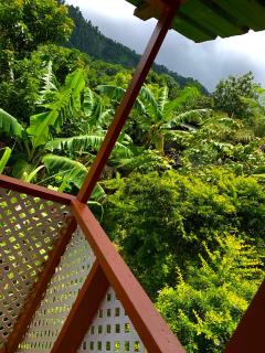 Le Petit Paradis - Roseau - 7