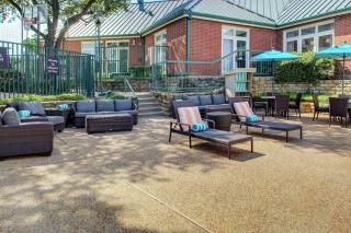 Homewood Suites by Hilton Dallas-Irving-Las Colinas - Irving - 9