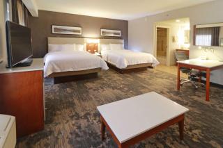 Hampton by Hilton Chihuahua - 1