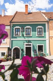Olivea penzion & wine Mikulov - Mikulov - 9
