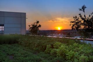 Hampton Inn Washington DC NoMa Union Station - Washington - 7
