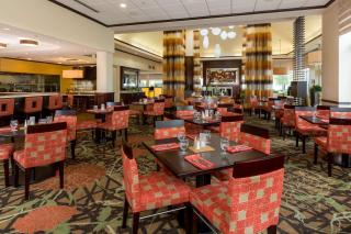 Hilton Garden Inn Buffalo Airport - Cheektowaga - 3
