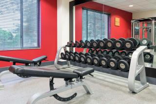 Hilton Garden Inn Buffalo Airport - Cheektowaga - 2