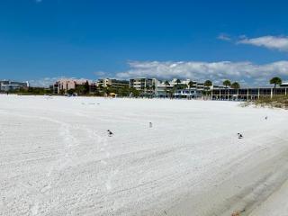 Calini Beach Club - Sarasota - 6
