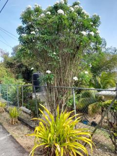 Tranquility with Stunning View - Morne Jaloux Ridge - 6