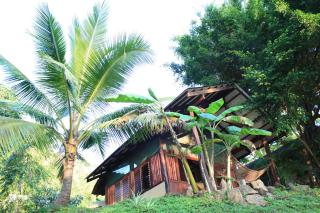 Funky Monkey Lodge - 6