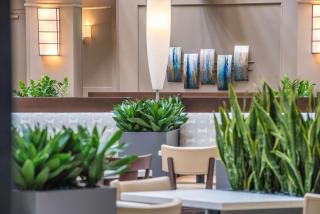 Embassy Suites By Hilton Seattle - Tacoma International Airport - Tukwila - 5