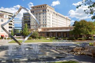 Juniper Hotel Cupertino, Curio Collection by Hilton - Cupertino - 8