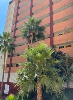 Cala Esmeralda Apartament - Benidorm - 4
