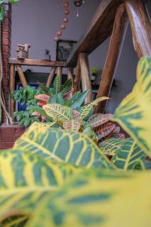 Hotel Colonial San Felipe - 5