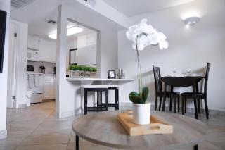 245 Fully Furnished 1BR Suite-Pet Friendly - 8