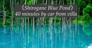 mizuki natural villa Garden - 1