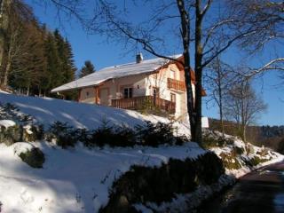 Chalet spacieux avec balcon, WiFi gratuit, proche lac et station de ski - FR-1-589-140 - Gérardmer - 1