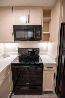 Modern Studio Basement with Private Entrance - 9