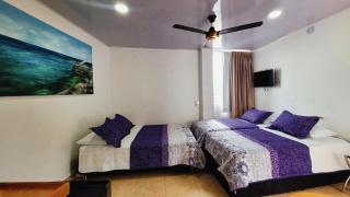 Hotel Olas - San Andrés - 9