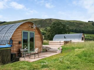 Barcud Coch - Uk44539 - Hirnant - 4