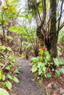 A'a- Hale Kumu Lā'au - Volcano - 4