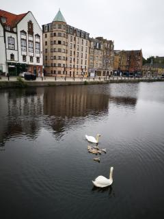 Home on the Shore - Edimburgo - 0